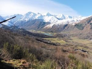 ImageMont0011 