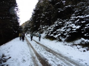 ImageMont0014 
