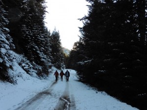 ImageMont0015 