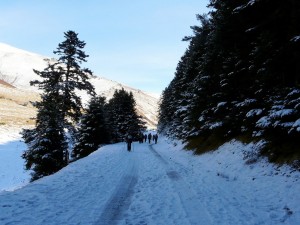 MONT  Louron0004 