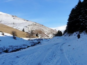 MONT  Louron0005 