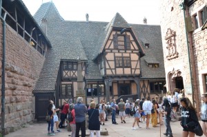 DSC_0641Haut Koenigsbourg (3) 