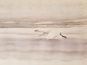 Monique S_02_04 03 2020 