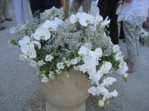 Villa Ephrussi Saint Jean Cap Ferrat  jardin 