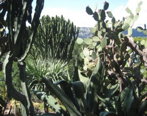 Villa Ephrussi jardin 