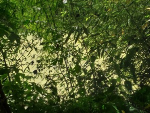 20190522_152524 (Copier)    