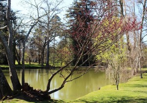 Etang (Copier)    