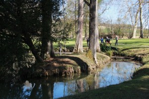 IMG_0603 (Copier)    
