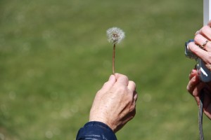 IMG_0615 (Copier)    