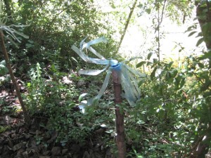 atelier photos 21 Mai 2019 004 (Copier)
