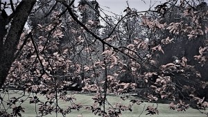 s 03a (4) - Copie