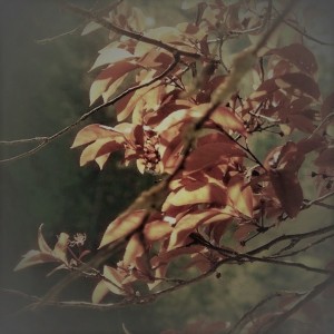 s feuil r (6) - Copie