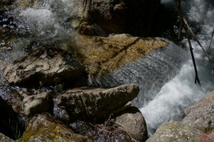 190625-601a-torrent