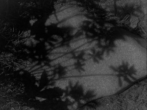 190626-697p1-ombr fl 697