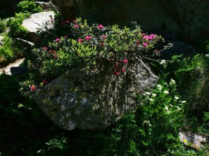 190626-703p1c-mouss, fl 703