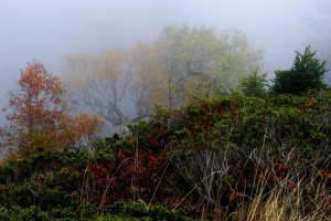 151014-229m