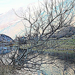 170302-135-p10-arbuste, lac        