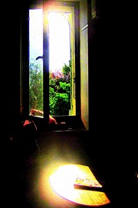 d 180417-5p3c 