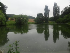Blaziert (11)        