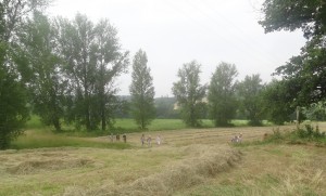 Blaziert (15)        