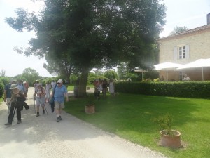 Blaziert (25)        