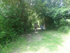 Blaziert (31)        