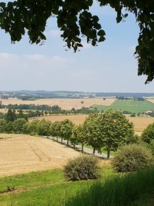 Blaziert (36)        