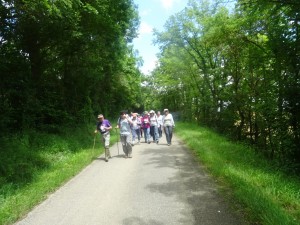 Bois de Tulle (1)