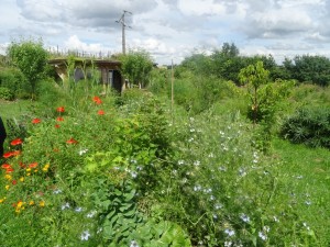La Nourrice (3)