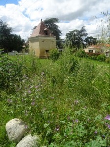 La Nourrice (4)