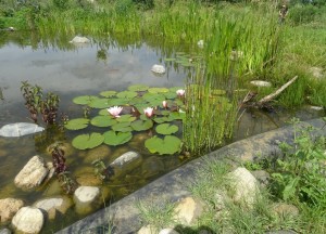 La Nourrice (5)