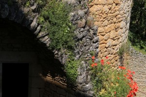 IMG_5845 réd  