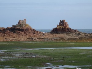DSC00234 (Copier) 