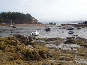 DSC00238 (Copier) 