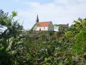 DSC00240 (Copier) 