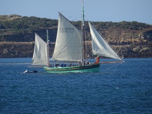 DSC00270 (Copier)    
