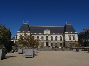 DSC00555 (Copier)      