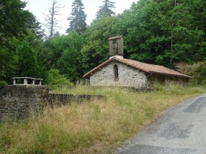 Brusque (5) 