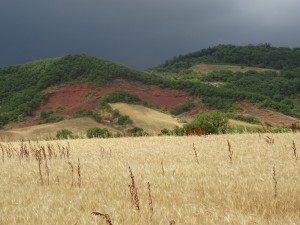 Rougier Camarès (3) 