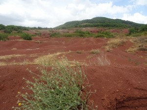 Rougier Camarès (4) 