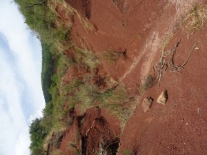 Rougier Camarès (5) 