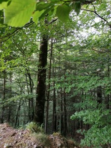 IMG-20220628-WA0018
