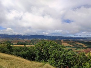 IMG-20220628-WA0024