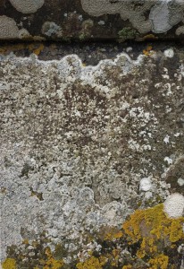 IMG-20220628-WA0025