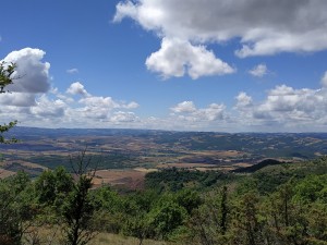 IMG-20220628-WA0033