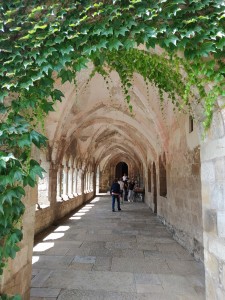 IMG-20220628-WA0036