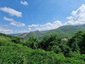 20220623_104754 (Copier) 