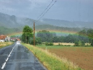 20220624_100455 (Copier) 