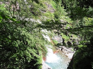 P1000749 bis   