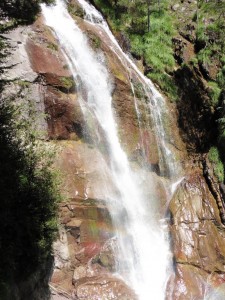 P1000754   